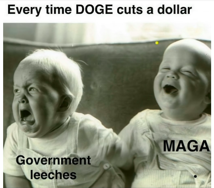 Every time DOGE cuts a dollar