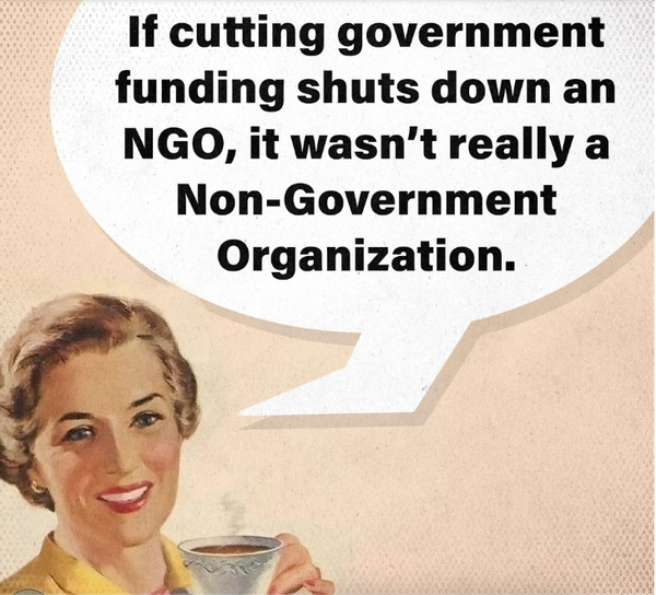 Government funding and NGOs